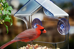 The Bird Lovers is a great way to celebrate birds. Includes bird houses. Things to decorate your home. . Fun books and more 
