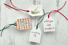 The Pretty Letter Society Stationery Subscription by Carly Allred Studio
