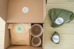 Unique Succulent Subscription For Plant Lovers 🪴
