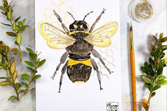 This is a past project. Old projects can be purchased as projpacks at classyartistbox.com
each month is new!