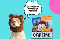 Customized premium dog subscription box, With each purchase we donate to homeless animals!- CareMebox