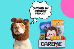 Customized premium dog subscription box, With each purchase we donate to homeless animals!- CareMebox