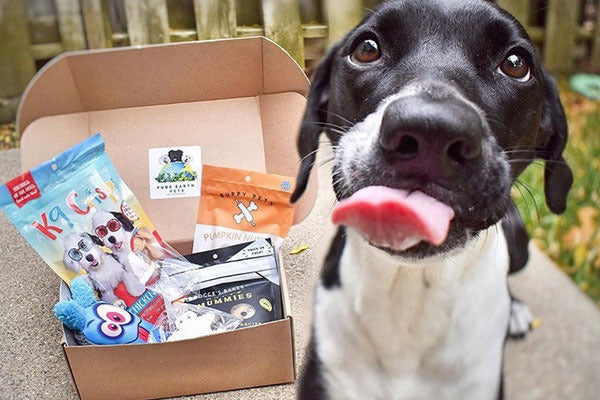 Pure Earth Pets Eco Friendly Dog Box