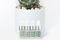 Four Mini Essential Oil Droppers by Greenmade goods. Scents: Faux Fir, Overcast, Woodlands, Stick + Stone.