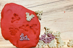 Sensory Play Pack