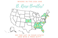 B. Reese Boutique Jewelry Bundle: The Bitty  (1 Piece Monthly)