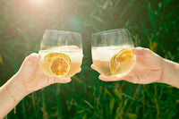 5 O'Clock Box Cocktail Kit - Craft Cocktail Monthly Subscription Box