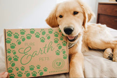 Pure Earth Pets Eco Friendly Dog Box