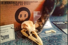Skulls Unlimited's BoneBox