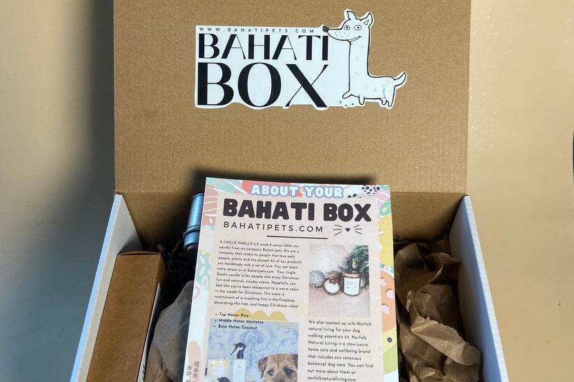 Regular Pets & Plants Box for dog and cat lovers
