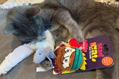 Peculiar Pet Holiday Box - Cat