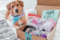 A dog wearing a bandana, laying next to a Dog Mom subscription box filled with a shirt, dog treats and dog toys.