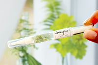 Two fingers showcasing the Lemongrass Botanical Nail Pen by Greenmade goods with blurred plant background.