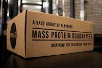 500 Whey & Protein Bars Box