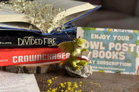 Owl Post Books YA Imagination Box. Three new hardcover books delivered monthly. Picture shows the Owl Post Books box with several books.