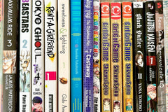 Manga Mystery Box - 5 or 10 Books - Shojo, Shonen, Mature or Mix! Free Shipping!