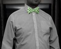 ZZ RT 1223 Nutty Neckware Tie Box