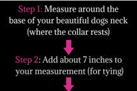 Dog moms and fur babies monthly box