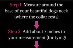 Dog moms and fur babies monthly box