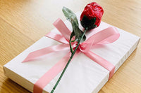 Romance/ChickLit