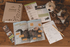 edZOOcation™ Animal Education Subscription Box by Wildlife Tree