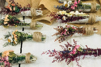 Rose & Plume Divinity Collection