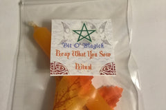 Monthly Wicca Bit O'Magick Large Subscription Box