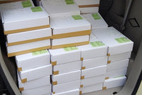Economy Box