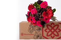BloomsyBox