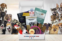 Dog box with a variety of premium treats, accessories, and toys. Many different dogs around the box (sizes and breeds).
