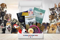 Dog box with a variety of premium treats, accessories, and toys. Many different dogs around the box (sizes and breeds).