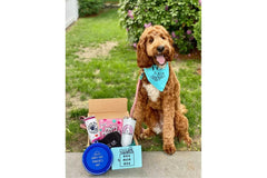 Dog Mom Box