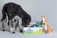 BoxCat Giant Seasonal Cat Subscription Box