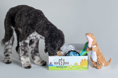 BoxCat Giant Seasonal Cat Subscription Box