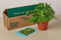 House plant boxes are carefully curated by plant experts and enthusiasts who select a variety of indoor plants