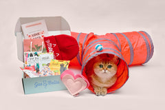 Monthly Gus & Bella Box