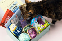 Monthly Gus & Bella Box