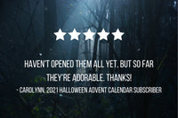 13 Days of Halloween Mystery Knitting Notions Advent Calendar