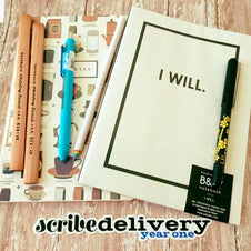 SCRIBEdelivery Subscription
