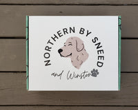 Northern By Sneed Monthly Dog Bandana Subscription