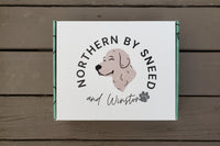 Northern By Sneed Monthly Dog Bandana Subscription