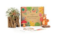 Christmas gift boxes, air plant gift boxes delivered monthly, Holiday gift ideas for men or women, best indoor plant for sale