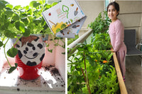 Oasis Box the Gardening subscription club for kids. This is one of Oasis Box happy members, hard at work. 