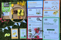 ~ Mud & Bloom Box ~