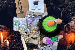 Mystic Pup Box - Bimonthly Plan