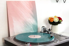 Indie Vinyl Record Compilation Box