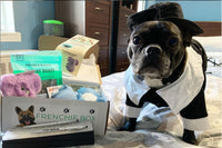 Premium Frenchie Box