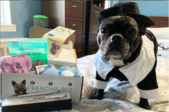 Premium Frenchie Box