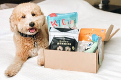 Pure Earth Pets Eco Friendly Dog Box