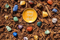 Kid's Crystal Discovery Kit